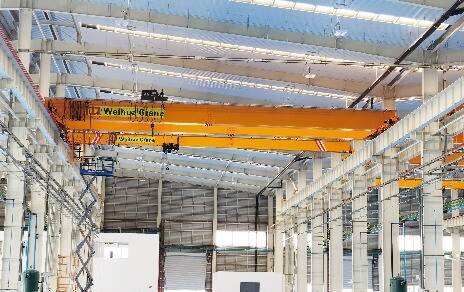 Double Hoist Overhead Crane-3